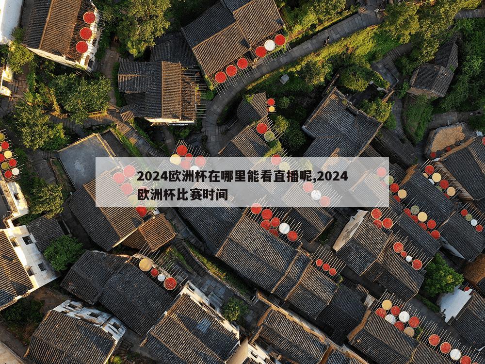 2024欧洲杯在哪里能看直播呢,2024欧洲杯比赛时间