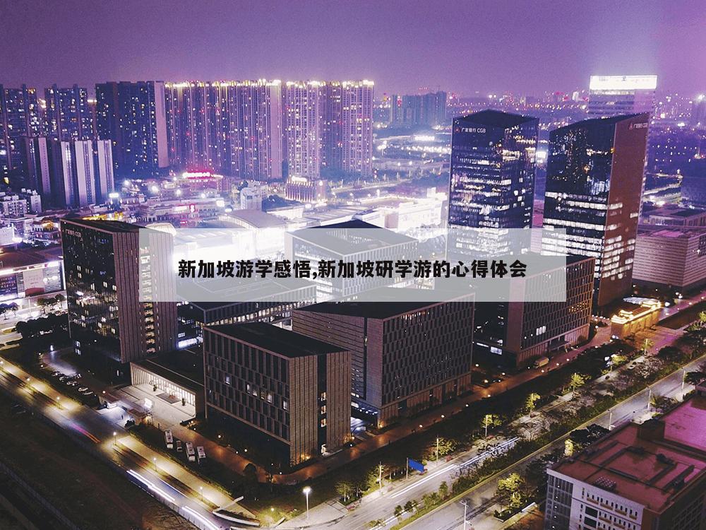 新加坡游学感悟,新加坡研学游的心得体会