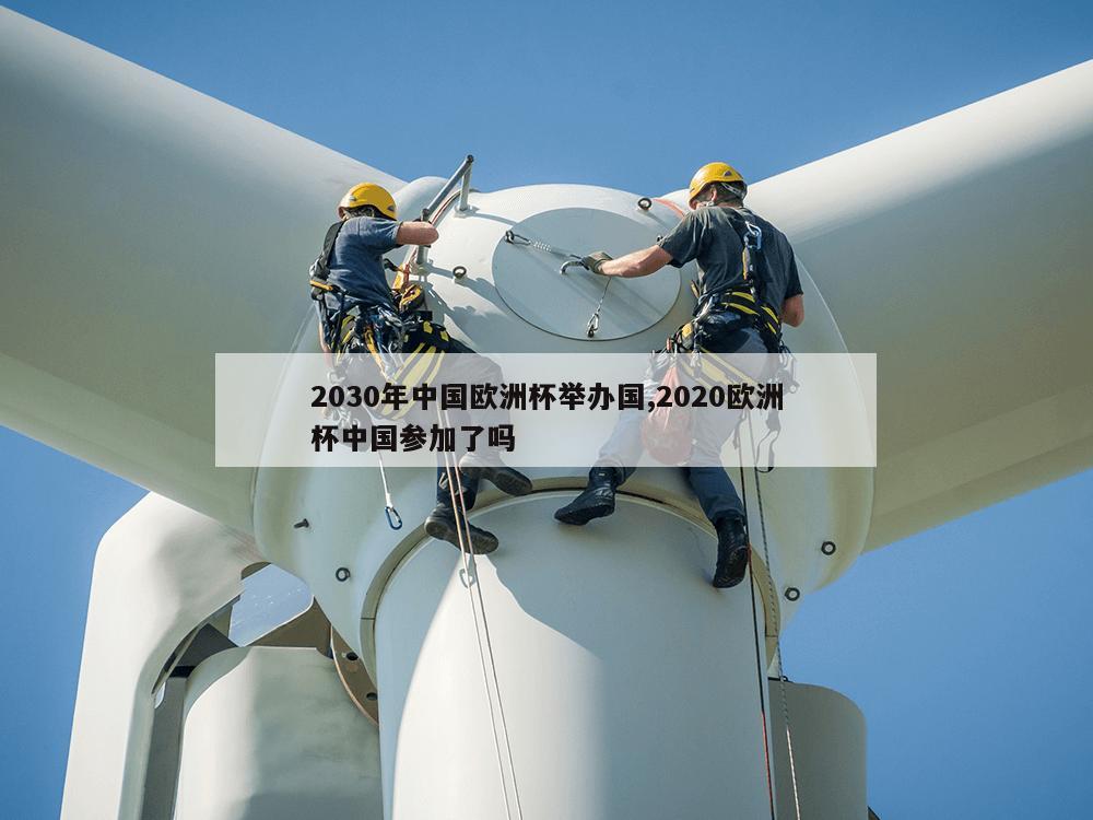 2030年中国欧洲杯举办国,2020欧洲杯中国参加了吗