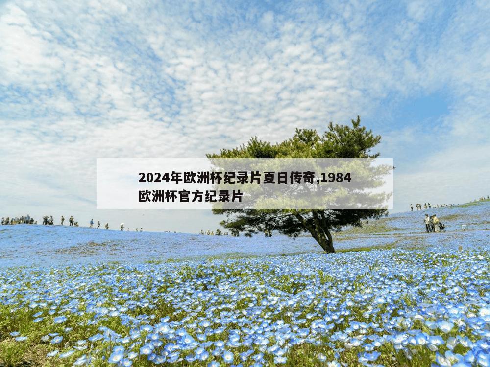 2024年欧洲杯纪录片夏日传奇,1984欧洲杯官方纪录片