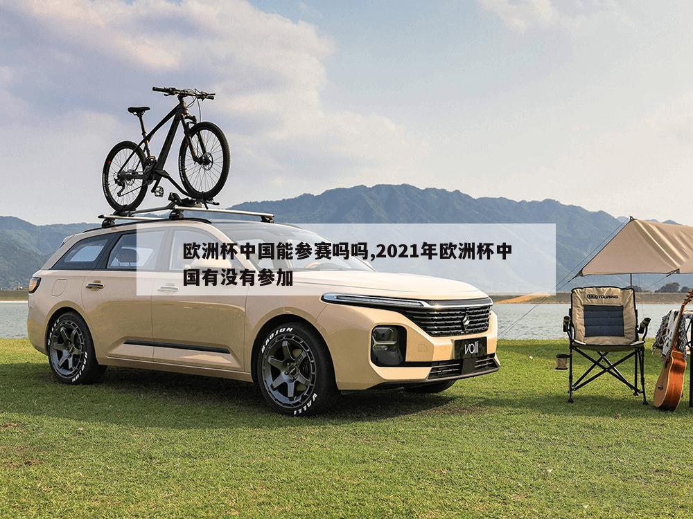 欧洲杯中国能参赛吗吗,2021年欧洲杯中国有没有参加