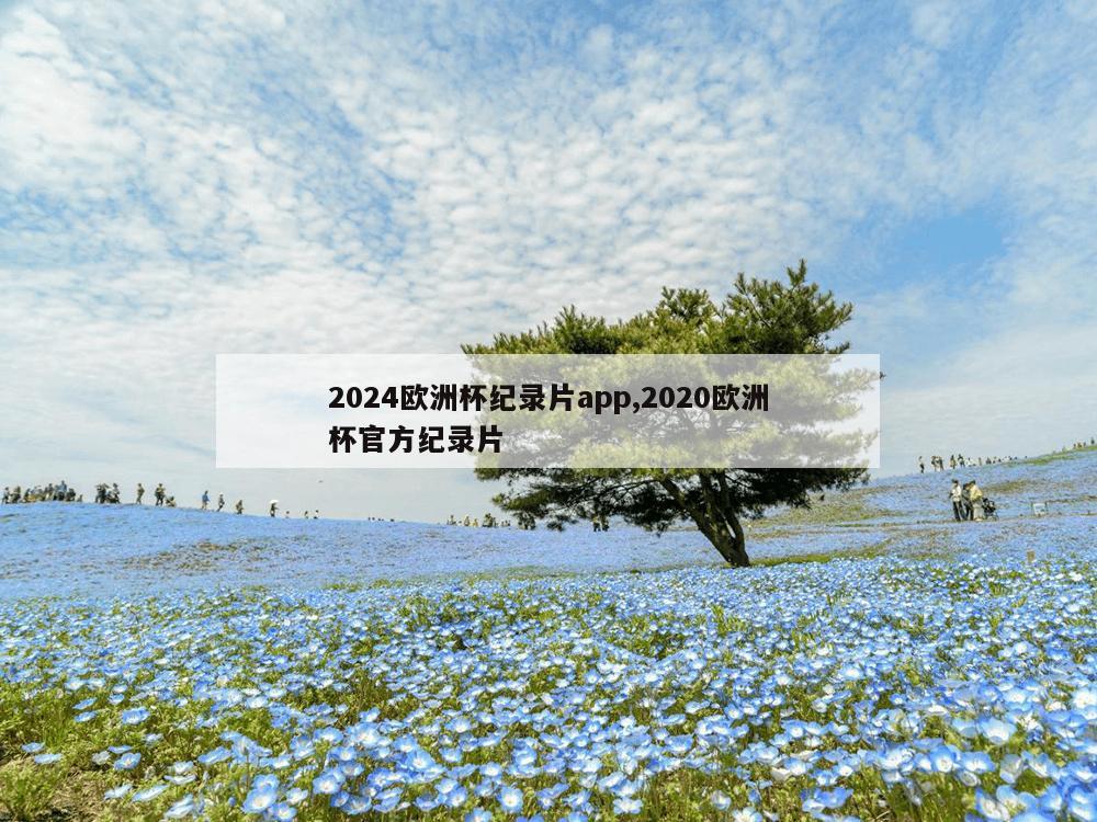 2024欧洲杯纪录片app,2020欧洲杯官方纪录片