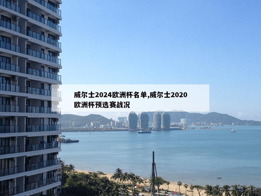 威尔士2024欧洲杯名单,威尔士2020欧洲杯预选赛战况