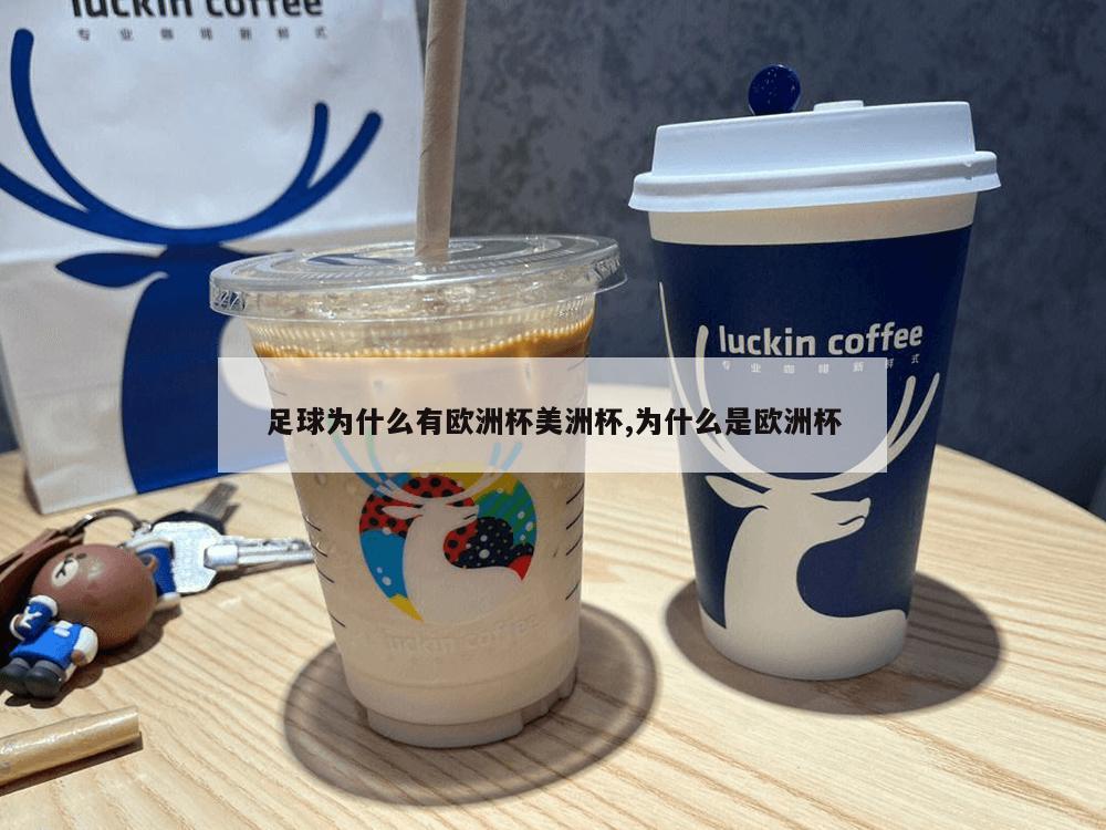 足球为什么有欧洲杯美洲杯,为什么是欧洲杯