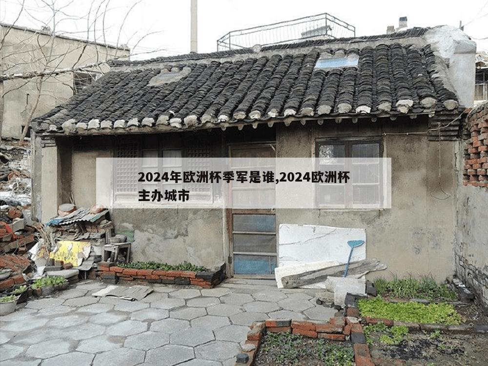 2024年欧洲杯季军是谁,2024欧洲杯主办城市