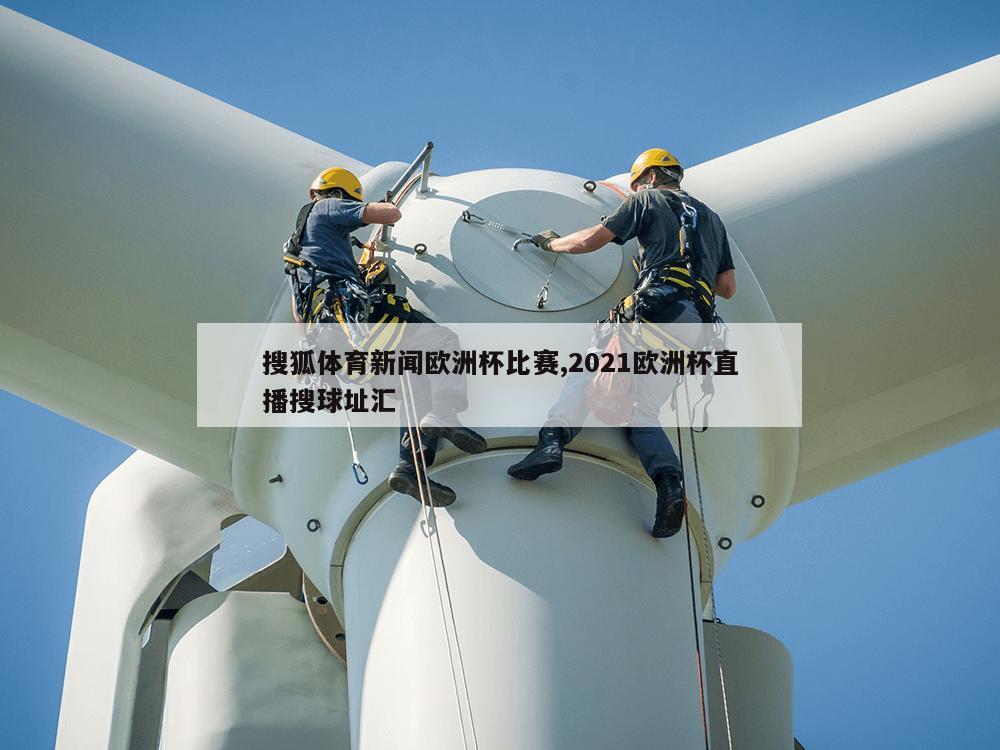 搜狐体育新闻欧洲杯比赛,2021欧洲杯直播搜球址汇