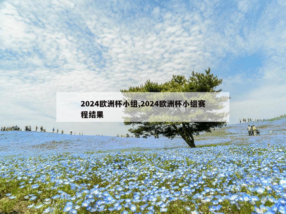 2024欧洲杯小组,2024欧洲杯小组赛程结果