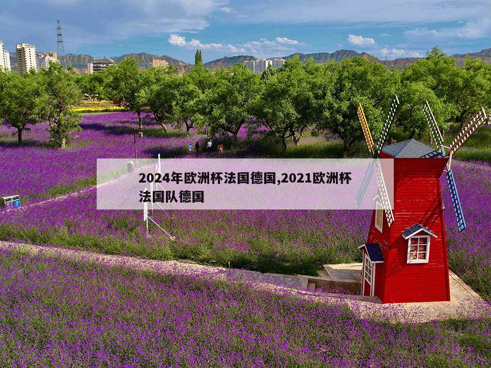 2024年欧洲杯法国德国,2021欧洲杯法国队德国