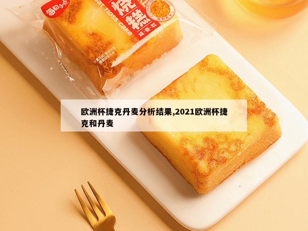 欧洲杯捷克丹麦分析结果,2021欧洲杯捷克和丹麦